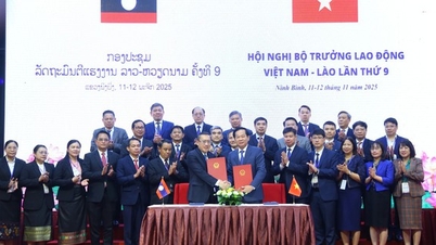 វៀតណាម និងឡាវបានចុះហត្ថលេខាលើកិច្ចសហប្រតិបត្តិការលើវិស័យការងារ និងប្រជាជនជាកុសល។