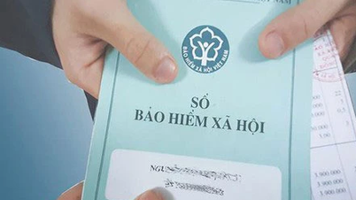 បញ្ជីនៃអង្គភាពយឺតយ៉ាវក្នុងការបង់ថ្លៃធានារ៉ាប់រងសង្គម ធានារ៉ាប់រងសុខភាព ធានារ៉ាប់រងគ្មានការងារធ្វើ