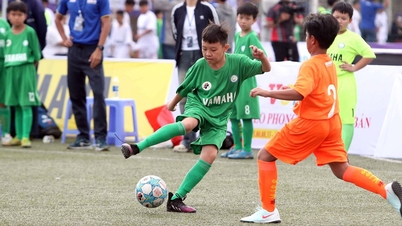 Can Tho រៀបចំការប្រកួតបាល់ទាត់កុមារស្តង់ដារជប៉ុនជាលើកដំបូង