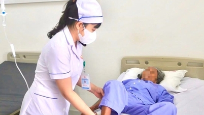 ការជំនួសត្រគាកដោយជោគជ័យសម្រាប់ស្ត្រីអាយុ 91 ឆ្នាំ។