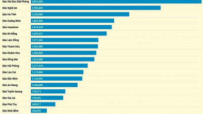 صحيفة توين كوانغ الإلكترونية تحتل المركز الخامس عشر من حيث عدد الزيارات بين الصحف الحزبية المحلية.