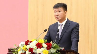 Ông Trần Huy Tuấn được giới thiệu bầu làm Chủ tịch tỉnh Ninh Bình