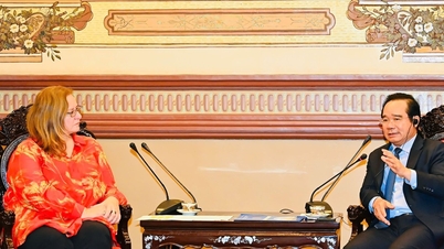 ទីក្រុងហូជីមិញមានបំណងសហការជាមួយសហគ្រាសហូឡង់ ដើម្បីអភិវឌ្ឍន៍កំពង់ផែសមុទ្រ និងបច្ចេកវិទ្យាខ្ពស់។