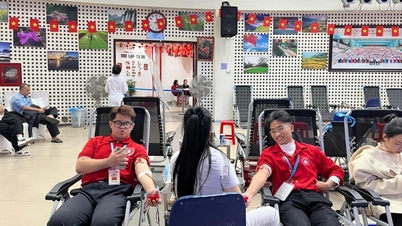 Pelbagai dan berkesan dalam menderma darah untuk menyelamatkan nyawa