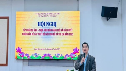 សន្និសីទបណ្តុះបណ្តាលលើគម្រោងទី ៨ - សម្រេចបាននូវសមភាព និងដោះស្រាយបញ្ហាបន្ទាន់សម្រាប់ស្ត្រី និងកុមារនៅឆ្នាំ ២០២៥