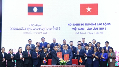 نهمین کنفرانس وزیران کار ویتنام و لائوس: ادامه ارتقای همکاری در زمینه کار، اشتغال و افراد شایسته
