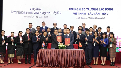 សន្និសីទរដ្ឋមន្ត្រីការងារវៀតណាម-ឡាវលើកទី៩៖ ពង្រឹងកិច្ចសហប្រតិបត្តិការ ពង្រីកលើវិស័យថ្មីជាច្រើន