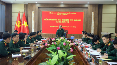 Omfattande inspektion av parti- och politiskt arbete på fabrik Z115