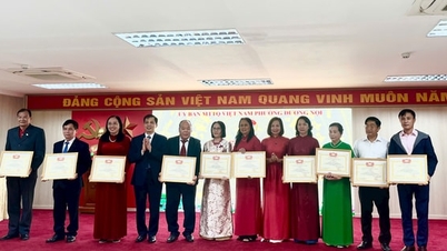 ដួងណូយ៖ ភ្ជាប់ចលនាត្រាប់តាមតំបន់លំនៅដ្ឋាននីមួយៗ