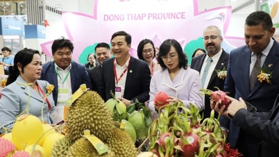 ពិព័រណ៍អាហារវៀតណាមឆ្នាំ 2025៖ ជំហានឆ្ពោះទៅមុខសម្រាប់ផលិតផលកសិកម្ម និងអាហារពិភពលោក