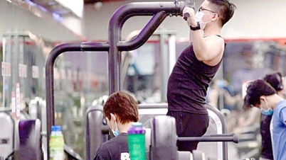 អាហារបំប៉នពង្រឹងសាច់ដុំ និងពង្រឹងកម្លាំង៖ នៅពីក្រោយរាងកាយសាច់ដុំគឺហត់នឿយ gonads