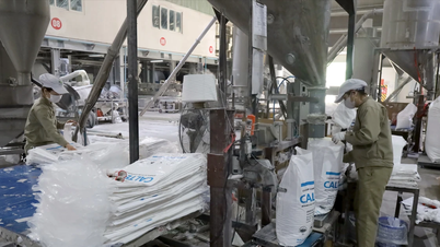 Lao Cai: 10 hónap alatt az újonnan alapított vállalkozások száma 25%-kal nőtt ugyanebben az időszakban.