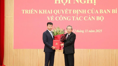 Das Parteikomitee der Provinz Ninh Binh gab die Entscheidung des Politbüros in Personalangelegenheiten bekannt.