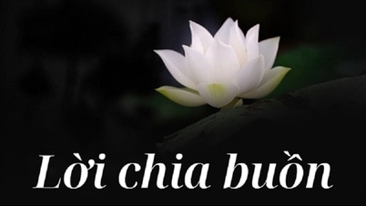 CAND সংবাদপত্রের উপ-প্রধান সম্পাদক কমরেড ফান ড্যাং ট্রুং-এর পরিবারের প্রতি সমবেদনা।