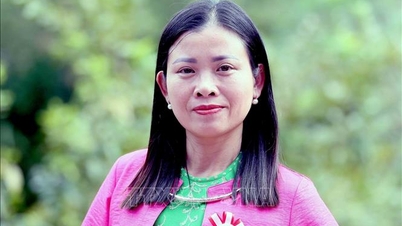 គោលនយោបាយគាំពារបរិស្ថានត្រូវតែរួមបញ្ចូលបន្ថែមទៀត។