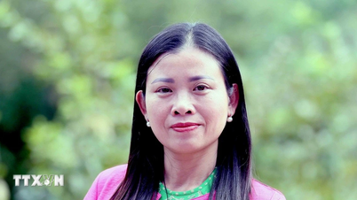 មតិលើសេចក្តីព្រាងឯកសារនៃសមាជលើកទី១៤៖ ការវិនិយោគលើការការពារបរិស្ថាន