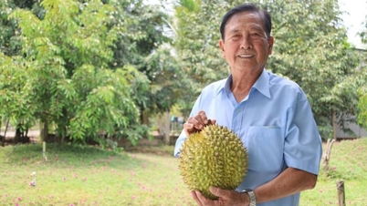 آیا کشاورزان تو می‌توانند تفکر کشاورزی حرفه‌ای را نوآوری کنند؟