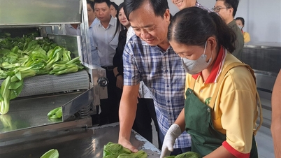 ປະຕິບັດແຜນການຈັດຕັ້ງປະຕິບັດແຜນງານປະຕິບັດງານແຫ່ງຊາດກ່ຽວກັບການຜະລິດ ແລະ ການຊົມໃຊ້ແບບຍືນຍົງໃນປີ 2026