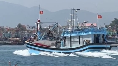 ماهیگیری با فناوری پیشرفته، راندمان فوق‌العاده