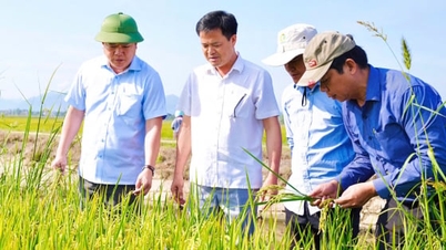 فناوری دیجیتال، عامل کلیدی تغییر چهره کشاورزی است