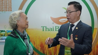 Versenyezz az új fajtákkal és bővítsd a kapcsolataidat az emberekkel