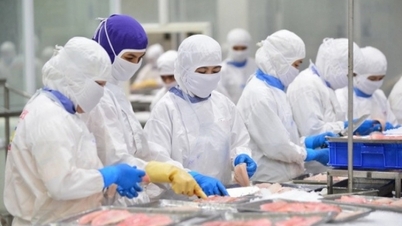 បារម្ភ​ពី​ការ​នាំ​ចេញ​គ្រឿង​សមុទ្រ​នៅ​ទ្រឹង​នៅ​ចុង​ឆ្នាំ