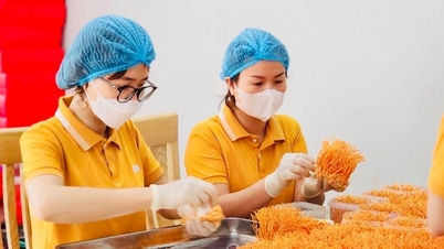 Diversifikasi kegiatan untuk mendukung petani dalam mengembangkan produksi dan bisnis