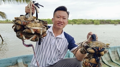 ការ​ព្រួយ​បារម្ភ​អំពី​ការ​ការពារ​យីហោ​សម្រាប់​តំបន់​ព្រៃកោងកាង Ca Mau