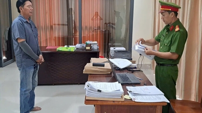 Prosecution of company director for tax evasion, causing loss to state budget of more than 300 million VND