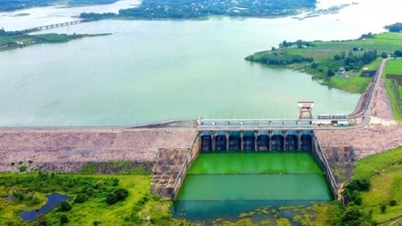 Các dự án năng lượng trọng điểm của EVN tại Đồng Nai vẫn chưa có mặt bằng sạch