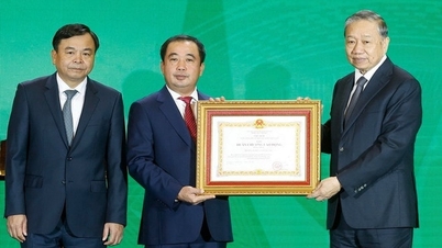 The agricultural and environmental sectors have a special strategic position.