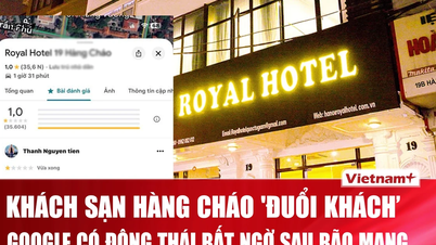 Google "លាងស" ជាង 30,000 ការវាយតម្លៃផ្កាយ 1 នៅសណ្ឋាគារហង្សចាវ ដើម្បី "ដេញអតិថិជន"