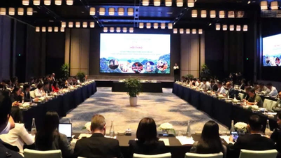 ចម្លងគំរូនៃការអភិវឌ្ឍន៍ផលិតផលទេសចរណ៍ពេលយប់