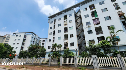 កំណត់យ៉ាងច្បាស់នូវទំនួលខុសត្រូវក្នុងការកំណត់ថាតើអ្នកណាមានសិទ្ធិទិញលំនៅដ្ឋានសង្គម។