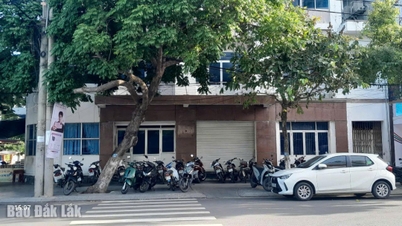 Accelerarea progresului în gestionarea locuințelor și a facilităților funciare după restructurarea organizațională.