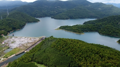 Quang Ninh Agriculture and Environment Sector: 80 years of sustainable development