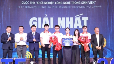 និស្សិត Da Nang បង្កើតដំណោះស្រាយដើម្បីការពារសុវត្ថិភាពបណ្តាញ
