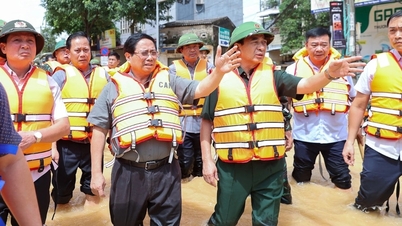 政府の特別期における経営の「3つのQ」マーク