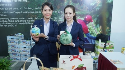 កសិកម្ម​និរន្តរភាព​នៅ​ពេល​កសិករ​រីក​ចម្រើន​រួម​ជាមួយ​នឹង​អាជីវកម្ម