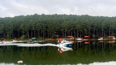 ឡាំដុង រៀបចំសមយុទ្ធការពារជនស៊ីវិលថ្នាក់ឃុំ នៅ...