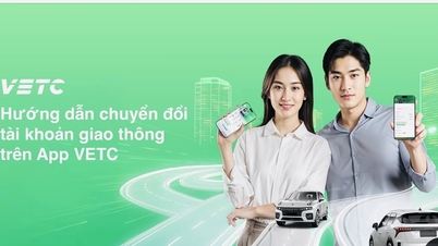 אזהרת הונאה בנוגע להורדה והתקנה של יישומי VETC מזויפים