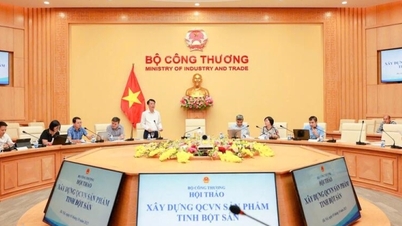 កែលម្អស្តង់ដារ និងបទប្បញ្ញត្តិ ដើម្បីធានាបាននូវការអនុលោមតាមលក្ខណៈអន្តរជាតិ