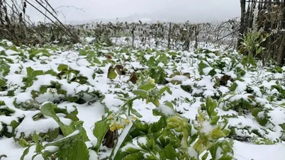 Norr i landet blir det frost, och det kan bli omfattande kraftigt regn i den centrala regionen.