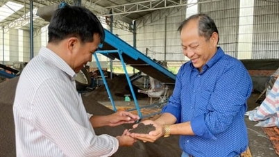 Pionjär inom att föra organiskt gödselmedel till gröna Dong Thap-fält