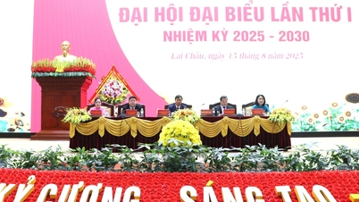 កម្មវិធីសកម្មភាពរបស់គណៈកម្មាធិការប្រតិបត្តិបក្ស នៃគណៈកម្មាធិការប្រជាជនខេត្ត ដើម្បីអនុវត្តសេចក្តីសម្រេចចិត្តនៃមហាសន្និបាតបក្សលើកទី១ របស់គណៈកម្មាធិការប្រជាជនខេត្ត អាណត្តិ ២០២៥ - ២០៣០