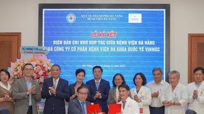 មន្ទីរពេទ្យ Da Nang និងប្រព័ន្ធថែទាំសុខភាព Vinmec បានចុះហត្ថលេខាលើអនុស្សរណៈយោគយល់គ្នាស្តីពីកិច្ចសហប្រតិបត្តិការវិជ្ជាជីវៈ។