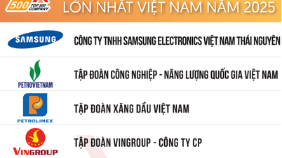 Anuncio del Ranking VNR500: Las 500 empresas más grandes de Vietnam en 2025