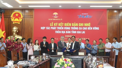 প্রাদেশিক গণ কমিটি ট্রং ডাক কাকাও কোম্পানি লিমিটেড এবং বোর্বন গ্রুপ জাপানের সাথে কাজ করেছিল