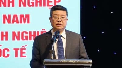 ពង្រីកទំហំសហប្រតិបត្តិការពាណិជ្ជកម្មវៀតណាម-ចិន