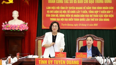 Arbeidsgruppe nr. 5 i den sentrale styringskomiteen samarbeidet med Tuyen Quang provinsielle partikomité